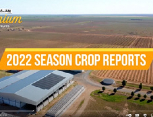 2022 Crop Report #1 Jan